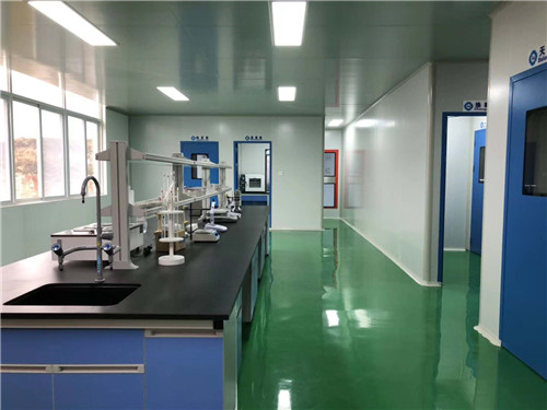 四川实验室环氧自流坪洁净走廊